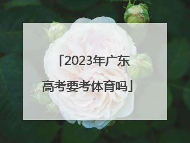 「2023年广东高考要考体育吗」2023年广东高考考几天