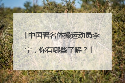 中国著名体操运动员李宁，你有哪些了解？