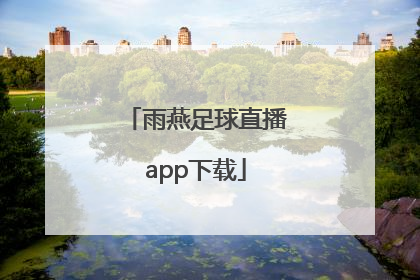 「雨燕足球直播app下载」雨燕直播App下载