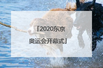 「2020东京奥运会开幕式」2020东京奥运会开幕式完整版
