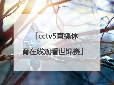 「cctv5直播体育在线观看世锦赛」cctv5+直播体育在线