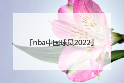 「nba中国球员2022」nba中国球员2017
